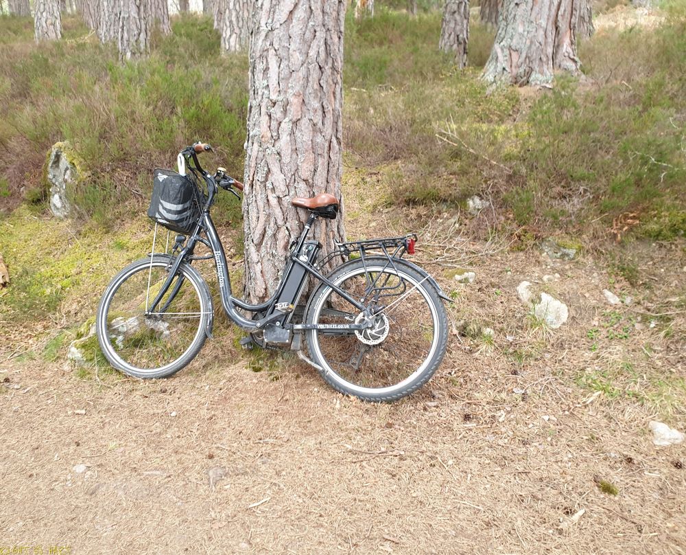 5 km south of Aviemore, Scotland in Cairngorms National Park and I was riding my Volt Burlington round the lochside paths